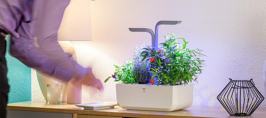 Veritable Smart Potager d'intérieur intelligent, blanc arctique