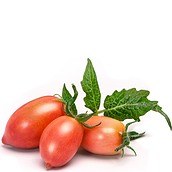 Wkład nasienny Lingot mini warzywa pomidor koktajlowy różowy