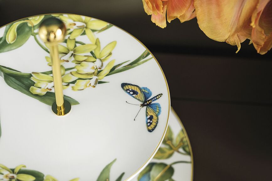 Amazonia Gifts Εταζέρα, 27 cm