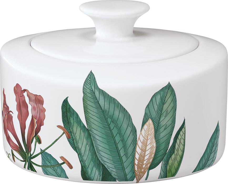 専用　Villeroy&Boch Villeroy & Boch 
