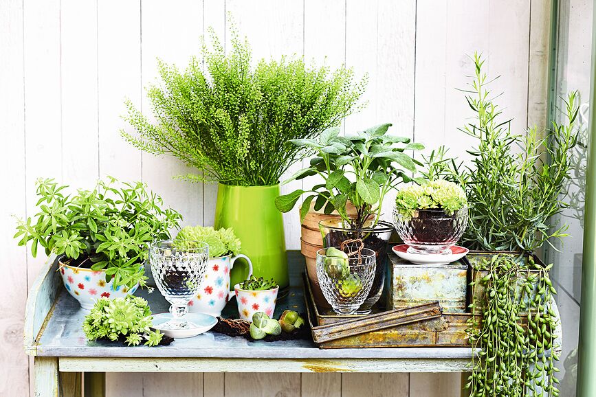 Boston Ποτήρι Κρασιού λευκού, 230 ml