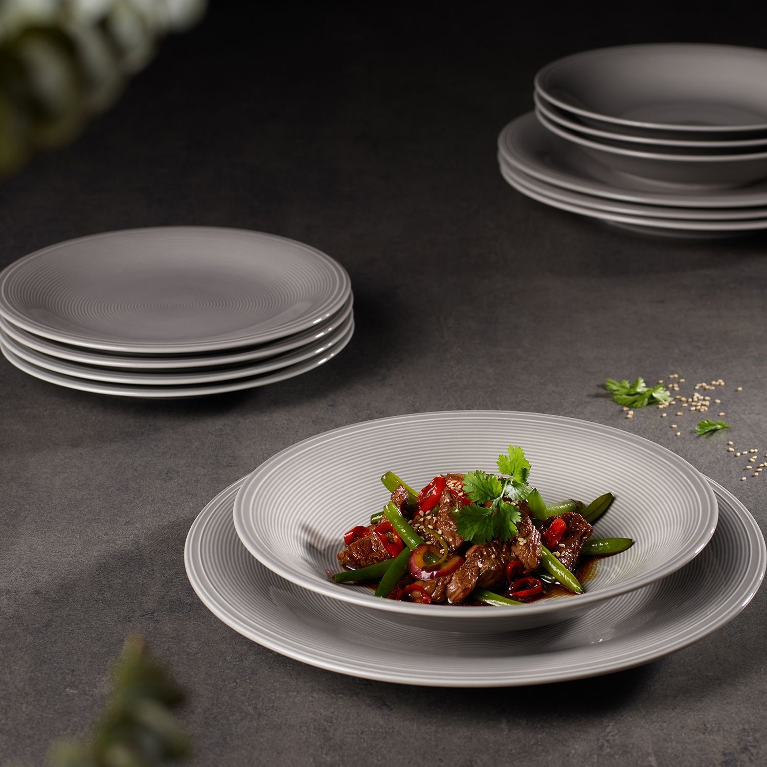 8 plate dinner set best sale