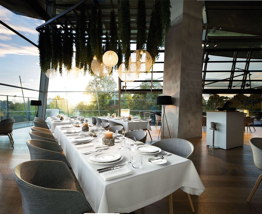 Copa de vino tinto Purismo Wine, 550 ml