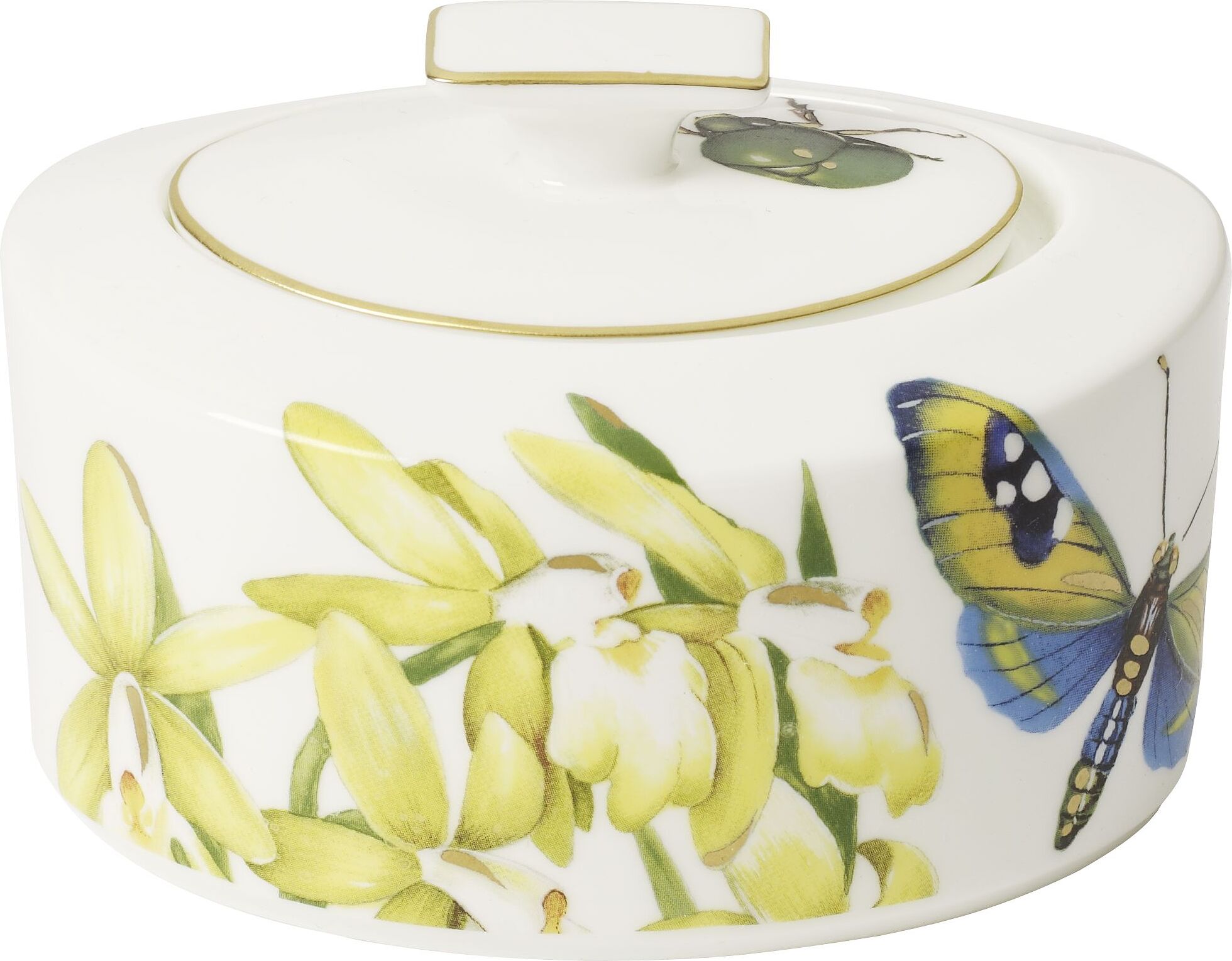 Villeroy & Boch Amazonia