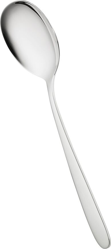 Daily Line Žlica za posluživanje