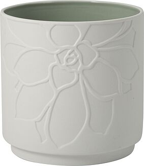 It's My Home Socculente Mineral Κασπώ, 14 cm