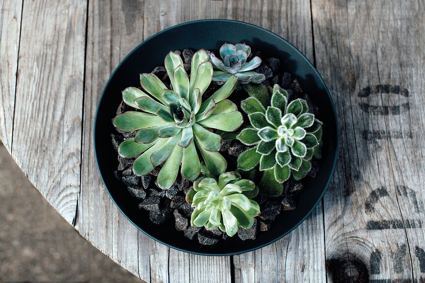 Manufacture Rock Skleda, 24 cm