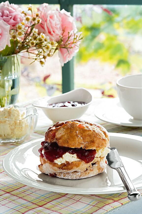 New Cottage Special Serve Salad Zdjela za umak ili dip