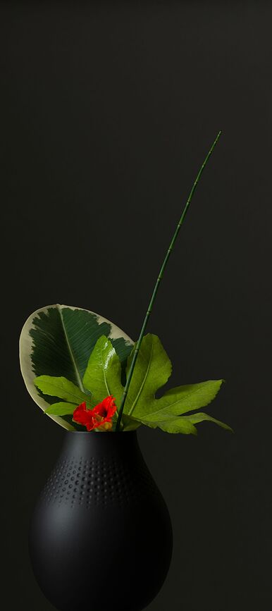 Perle Manufacture Collier Noir Βάζο, 20 cm