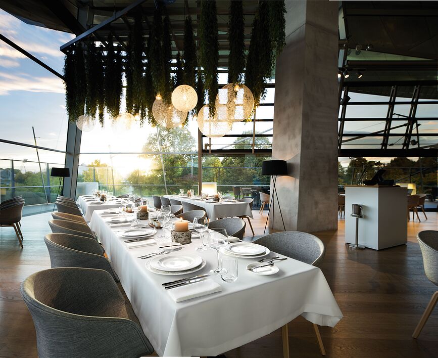 Purismo Wine Kozarec za rdeče vino, 550 ml