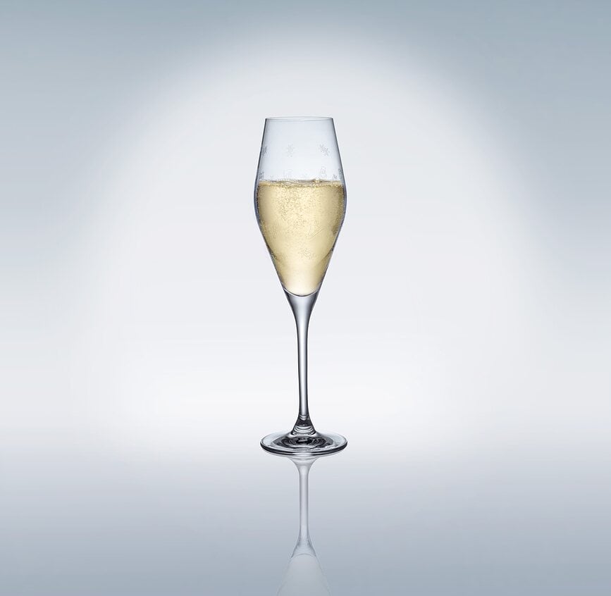 Toy's Delight Flûtes à Champagne 260 ml, Lot de 2