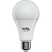 Idea LED A+ Lightbulb 70 mm