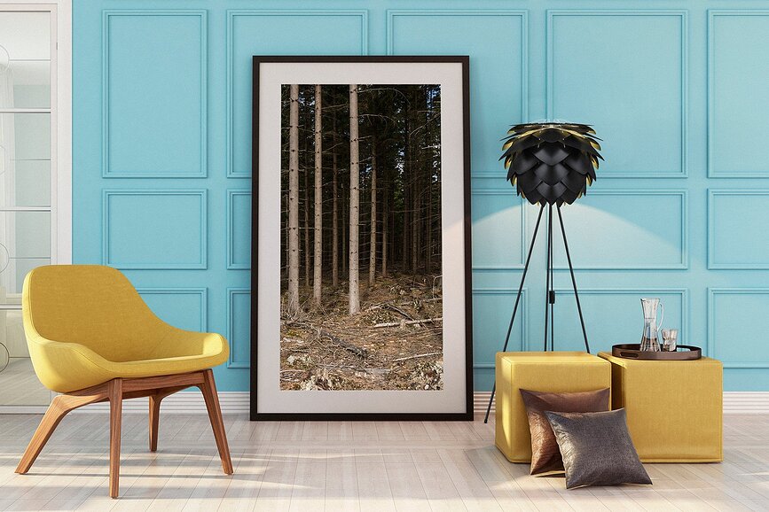 Silvia Svetilka, bela