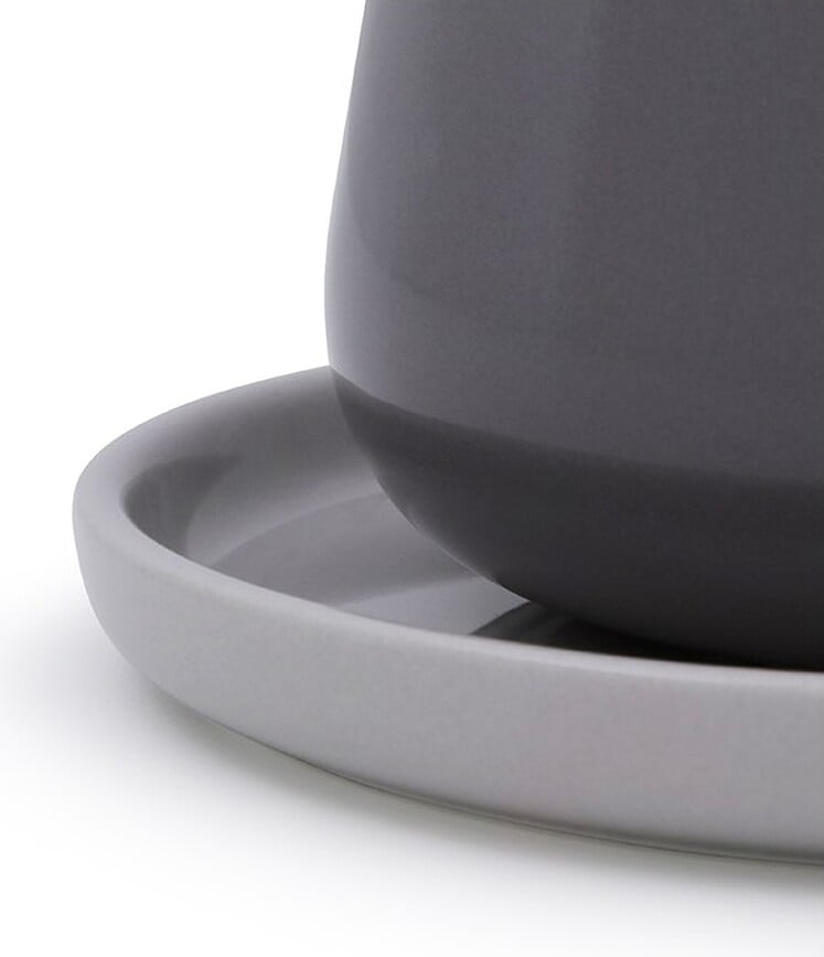 Ella Φλιτζάνι για τσάι, κρεμ