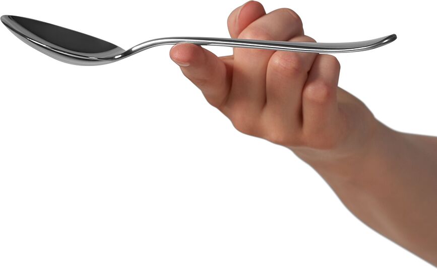 Fächer Set jedilnega pribora, 66 kosov