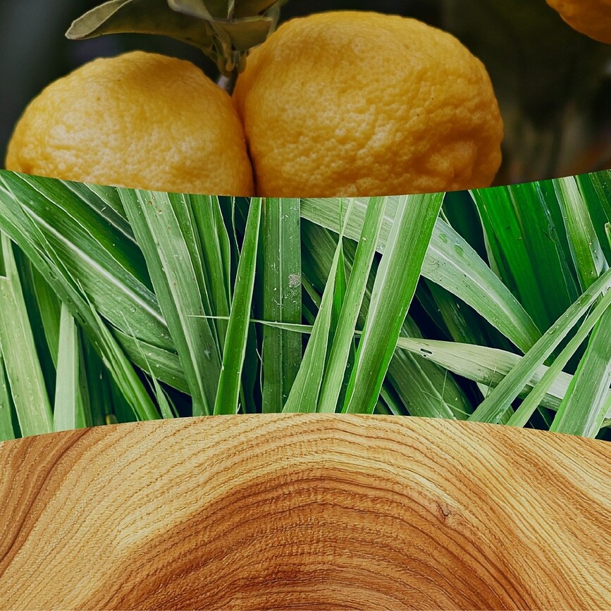Bougie WoodWick Core Yuzu & Vetiver petite