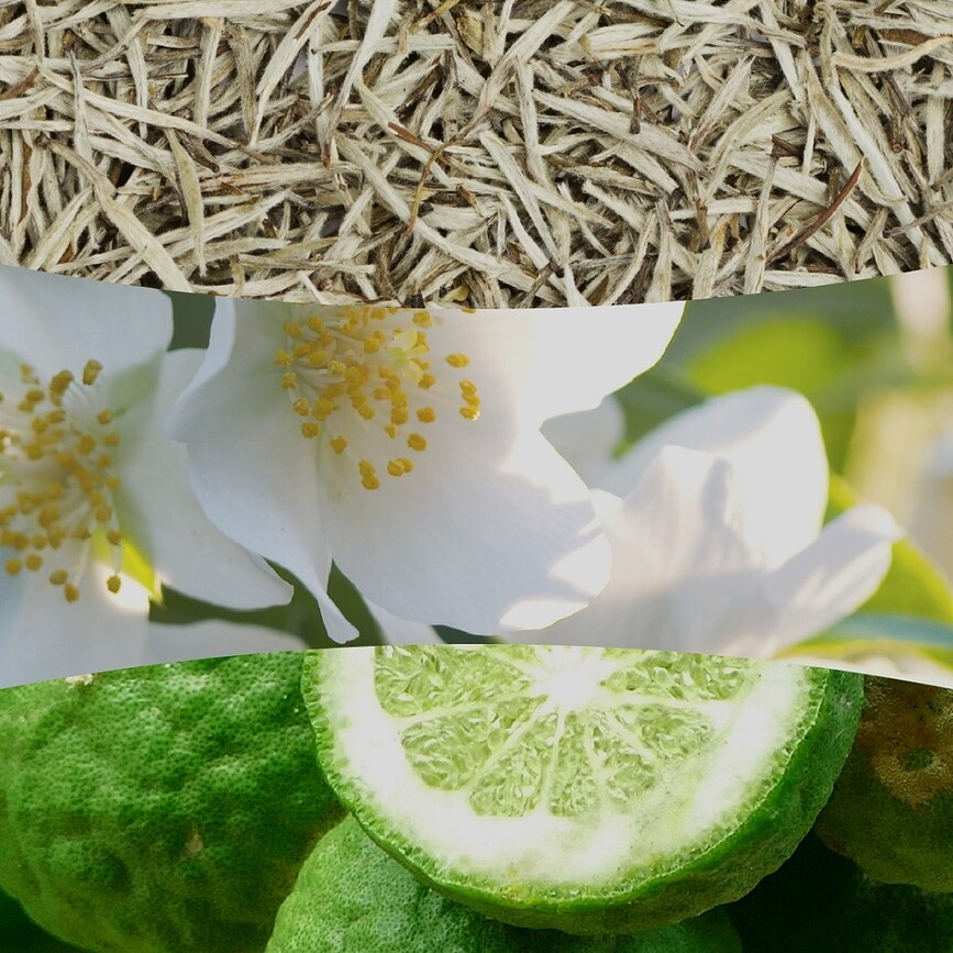Candela WoodWick Core White Tea & Jasmine media