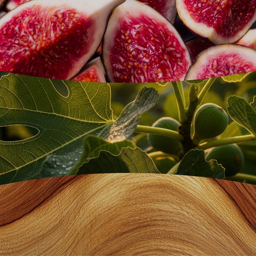 Κερί WoodWick Core Verdant Fig μεσαίο