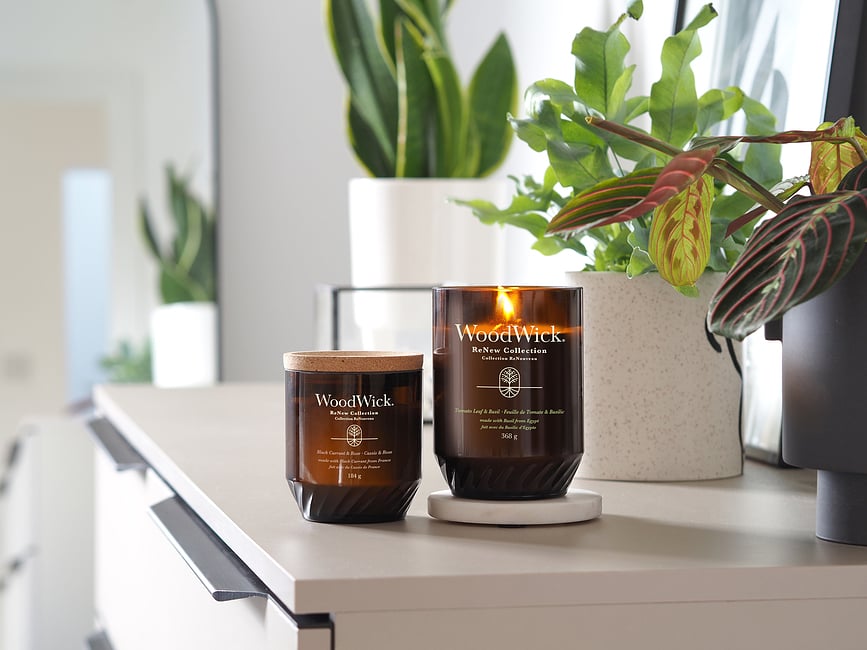 WoodWick ReNew Svijeća miris Crni ribiz i ruža srednja