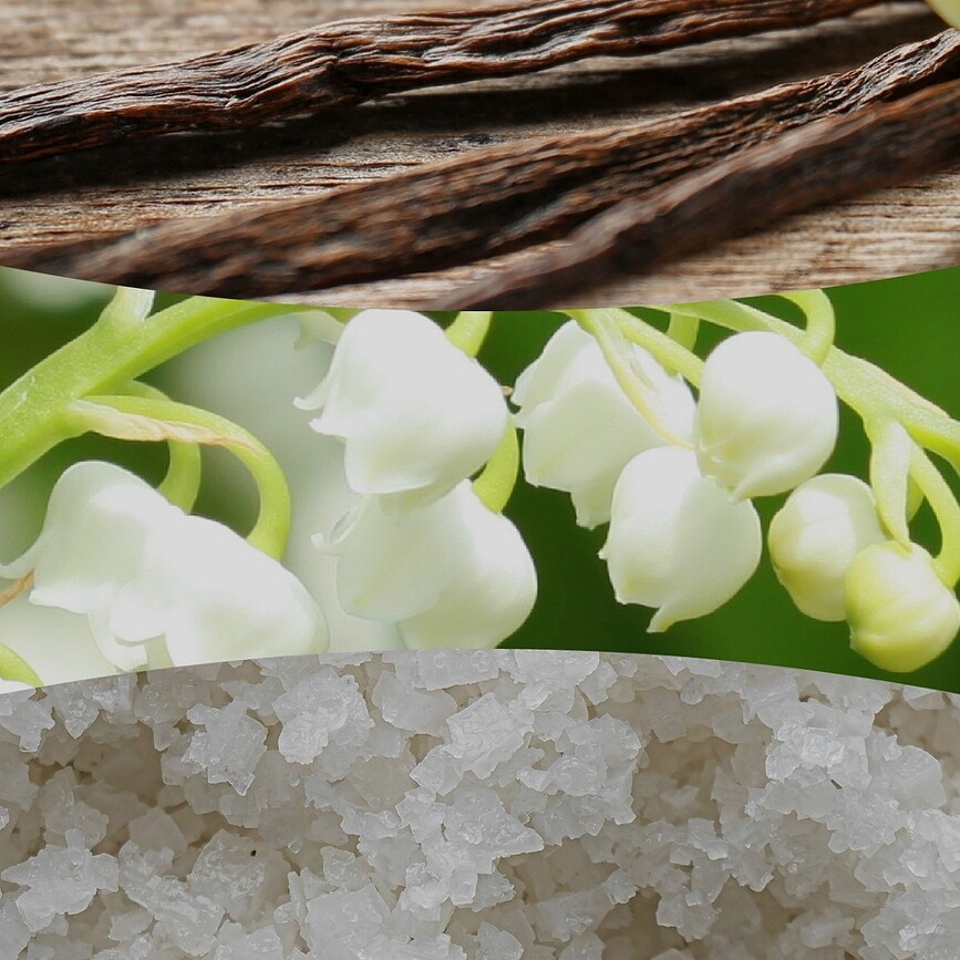 Свічка WoodWick Hearthwick Vanilla & Sea Salt