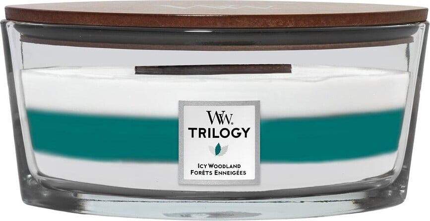 Vela aromática Hearthwick Icy Woodland