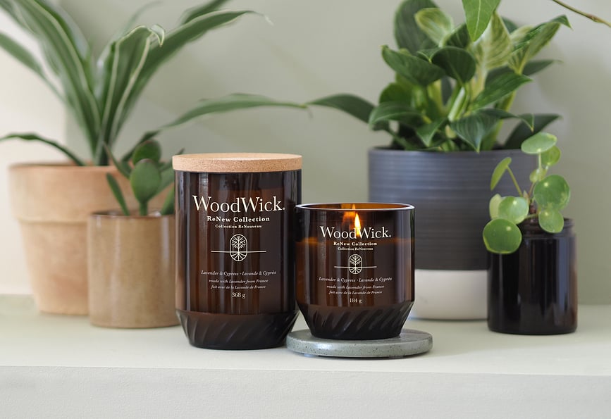 Vela WoodWick ReNew, de lavanda y cipr
es, mediana