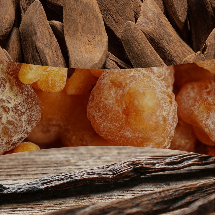 WoodWick Core Santal Myrrh ljus liten