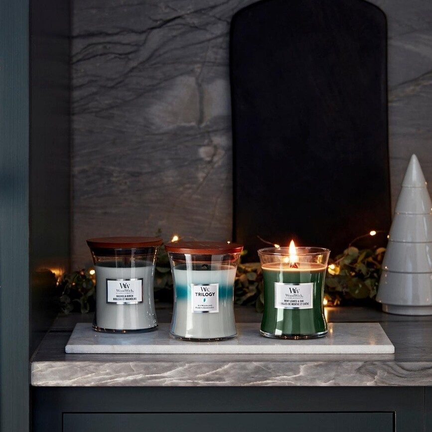 WoodWick Core Sveča Mint Leaves & Oak, mala