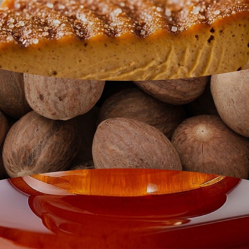 WoodWick Hearthwick Pumpkin Praline lys