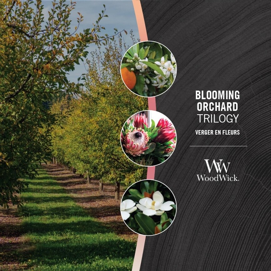 WoodWick Trilogy Svijeća Blooming Orchard srednja