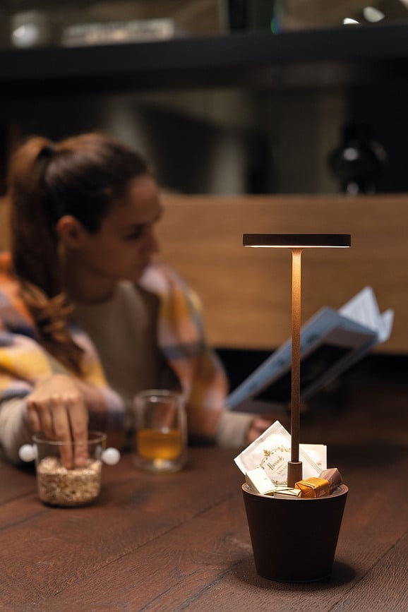 Lámpara de Mesa Poldina Reverso, marrón, con cuenco