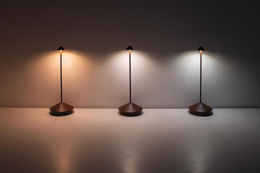 Pina Pro Lampe de Table, gris foncé, à température de couleur variable
