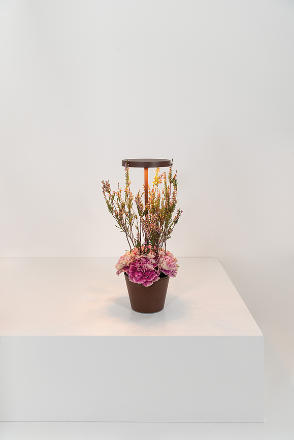 Poldina Reverso Επιτραπέζιο Φωτιστικό με μπολ, καφέ