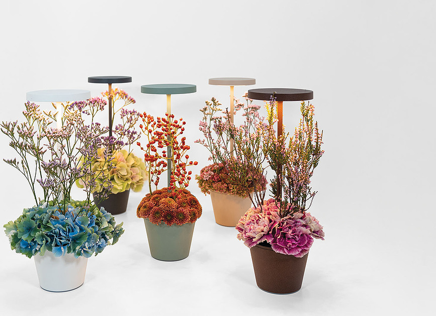 Poldina Reverso Lampe de Table avec bol, marron