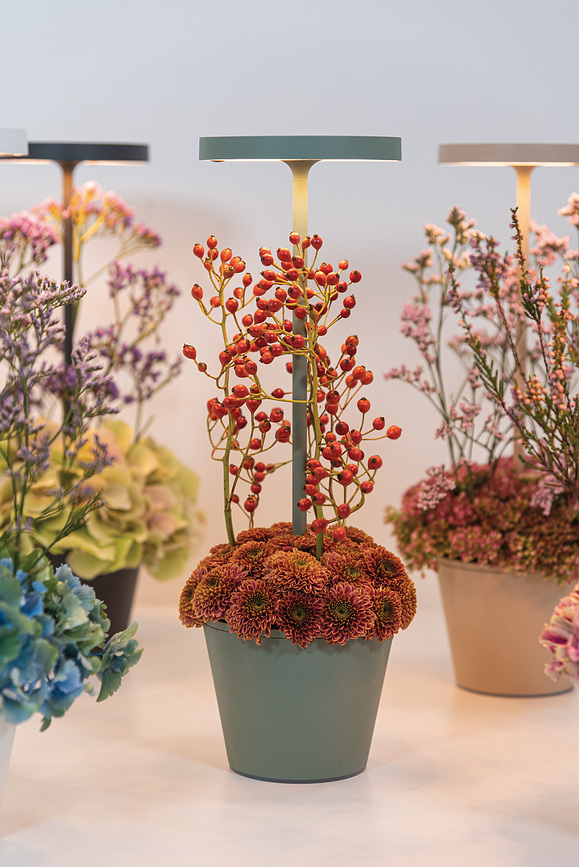 Poldina Reverso Stolna Lampa s posudom smeđa