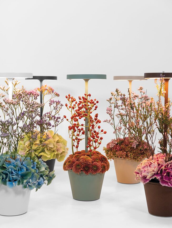 Poldina Reverso Stolna Lampa s posudom smeđa