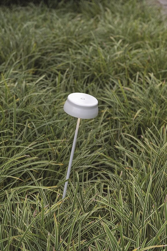 Sister Wi-Fi Vrtna svetilka, nastavljiva višina, zlata