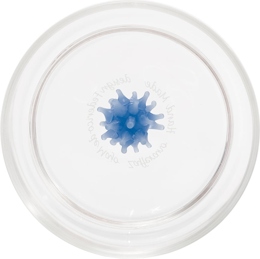 Teca Mare Kozarec, 350 ml, motiv sardine