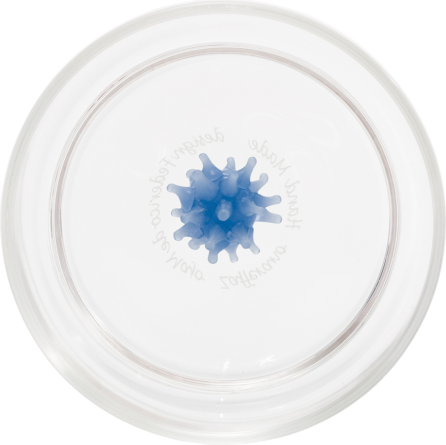 Vaso Teca Mare, 350 ml, diseño de estrella de mar