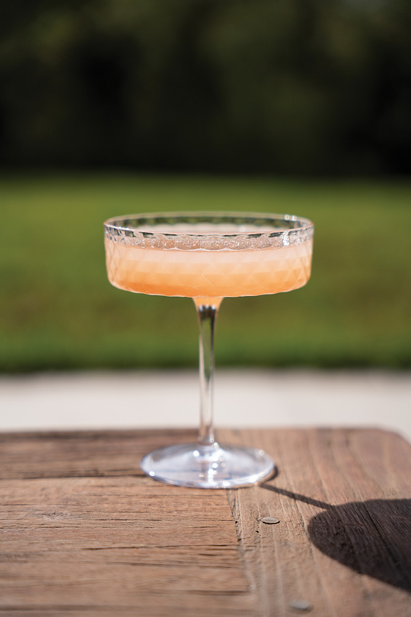 Veneziano Mixology Flûte à Champagne