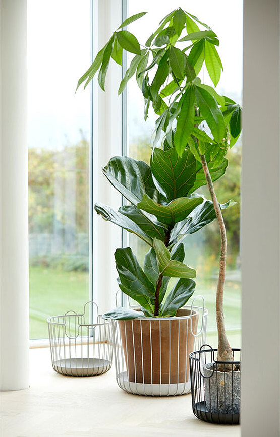 Cesto de Ropa Inu, 30 x 30,5 cm, gris oscuro