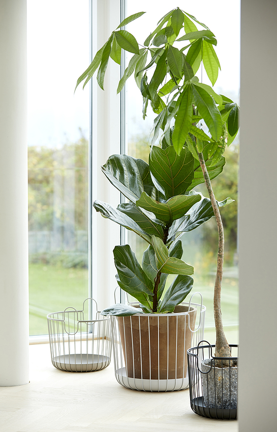 Cesto para la colada Inu, 40,5 x 41 cm, negro