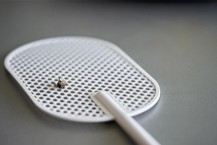 Matamoscas Singles, negro