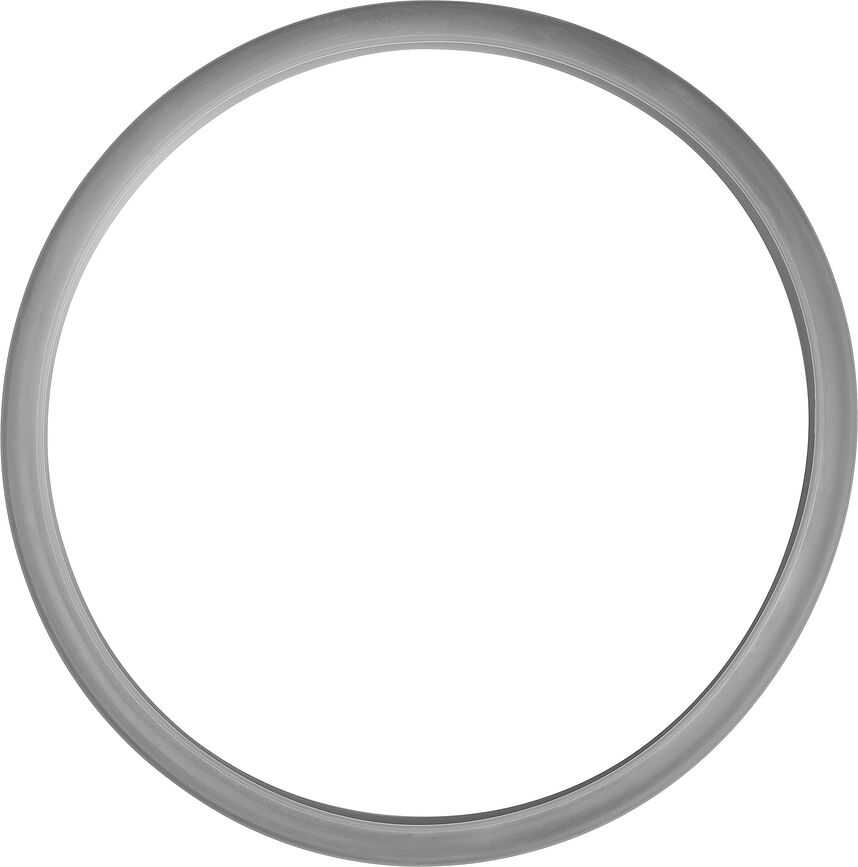 EcoQuick Φλάντζα για χύτρα ταχύτητας, 22 cm