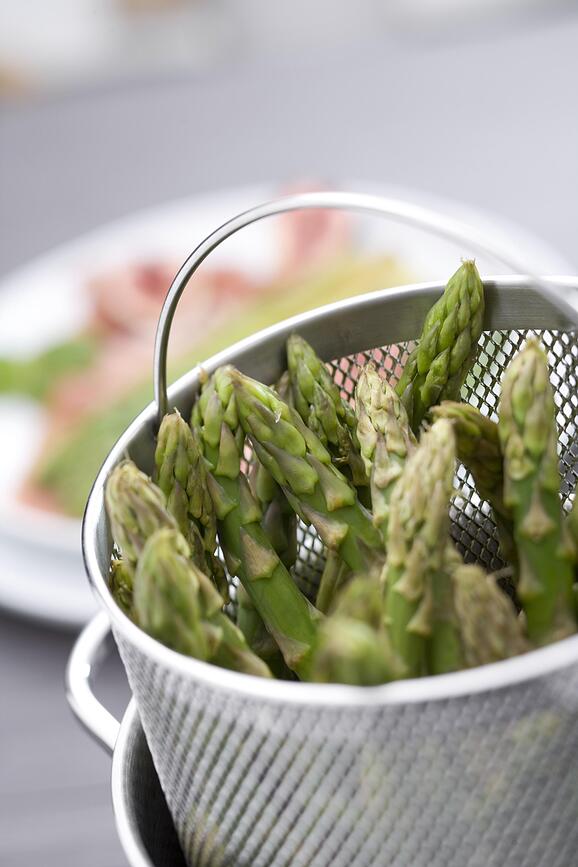 Twin Specials Lonac za tjesteninu 4,5 l