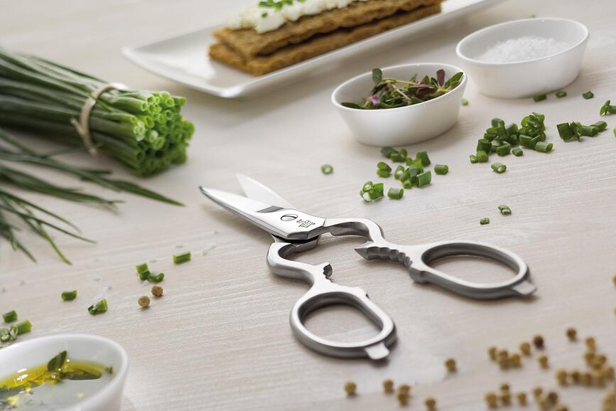 Zwilling Ciseaux universels, 20 cm, en acier